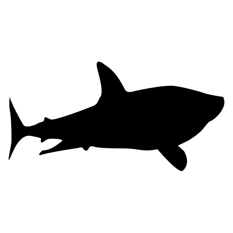 Silhouette de requin
