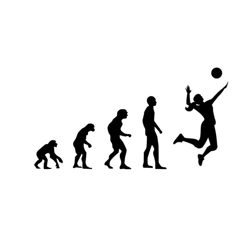 Evolution Volley