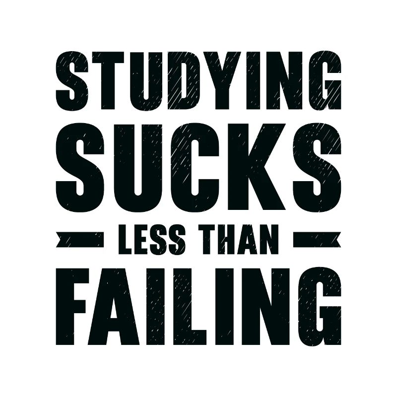 Studying Student Learning Education Lessons Study