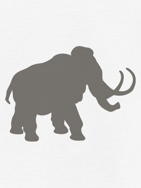 Mammut