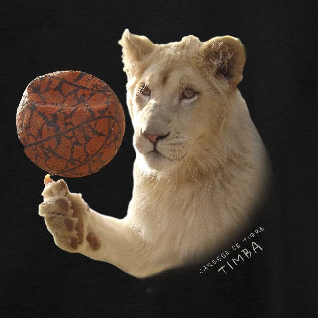 Timba ballon