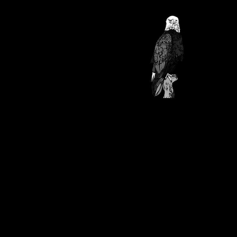 Bald eagle black and white
