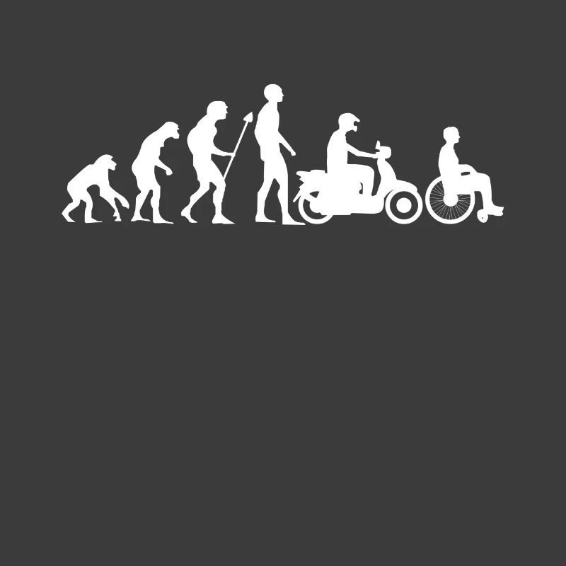 Evolution Moped Roller Mofa Rollstuhl Geschenk