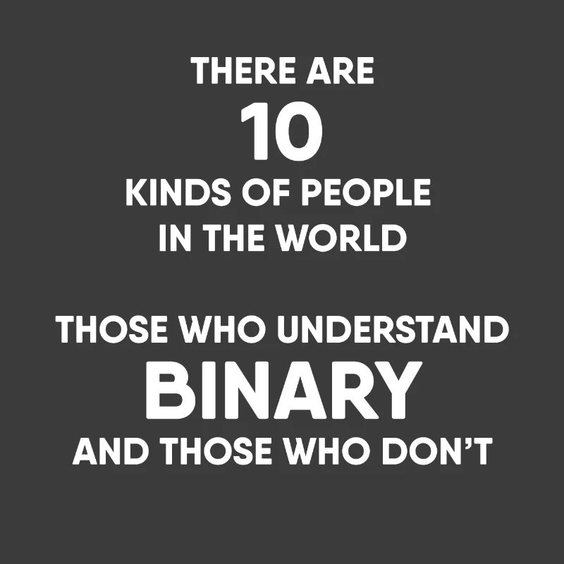 Programmer - Binary system