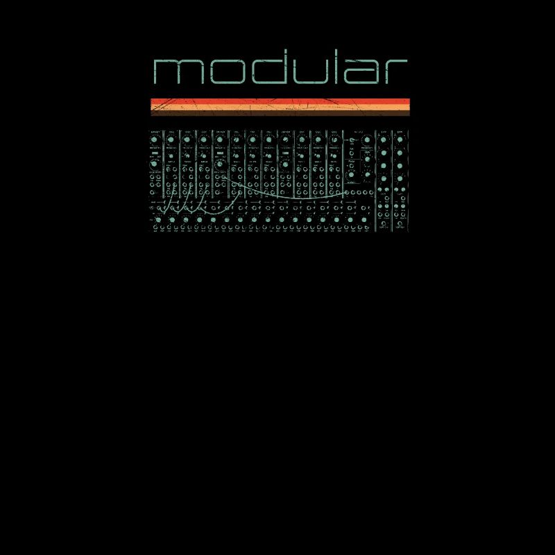 Vintage Modular Synthesizer - Analog DIY Synth