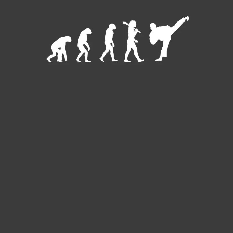Taekwondo Evolution Fancy Tshirt