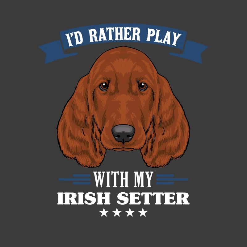 Irish Setter