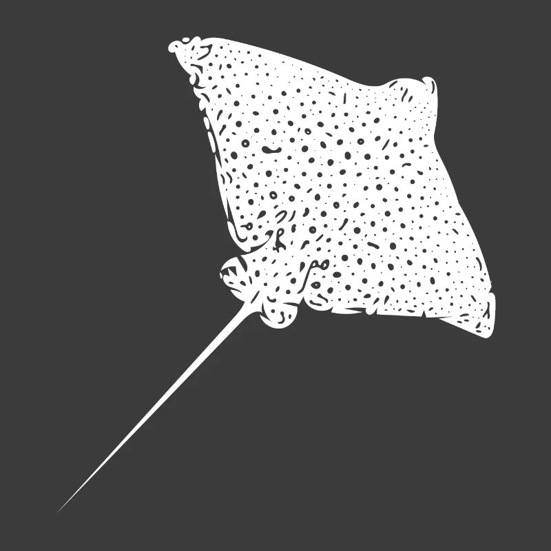Eagle rays