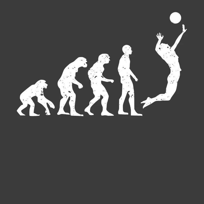 VOLLEYBALLEVOLUTION!