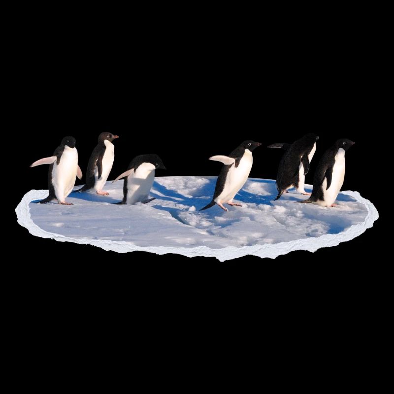 Pinguine auf einer Eisscholle Pinguin