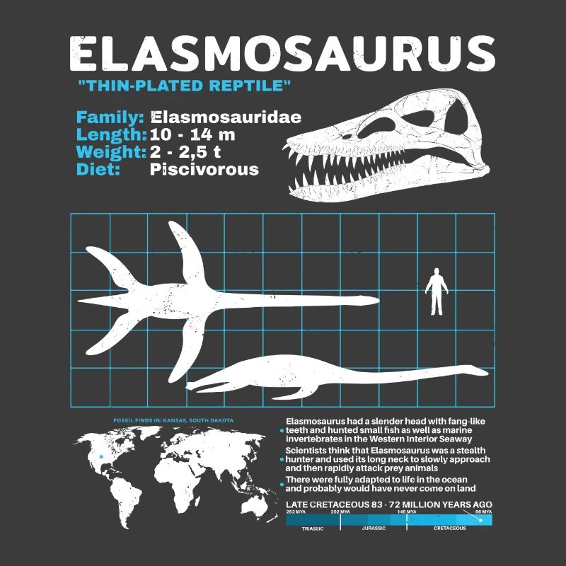 Elasmosaurus fact sheet