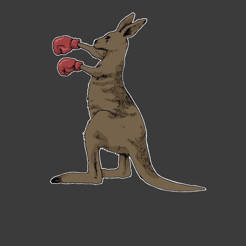 Kangaroo boxing