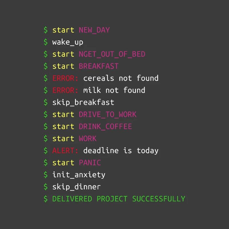 Journée dans la vie d'un programmeur | Coding Geek Gift