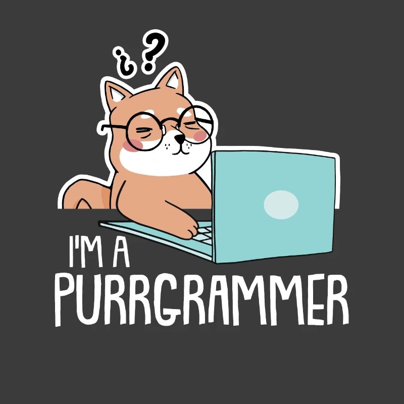 Programmer Coder Software Developer