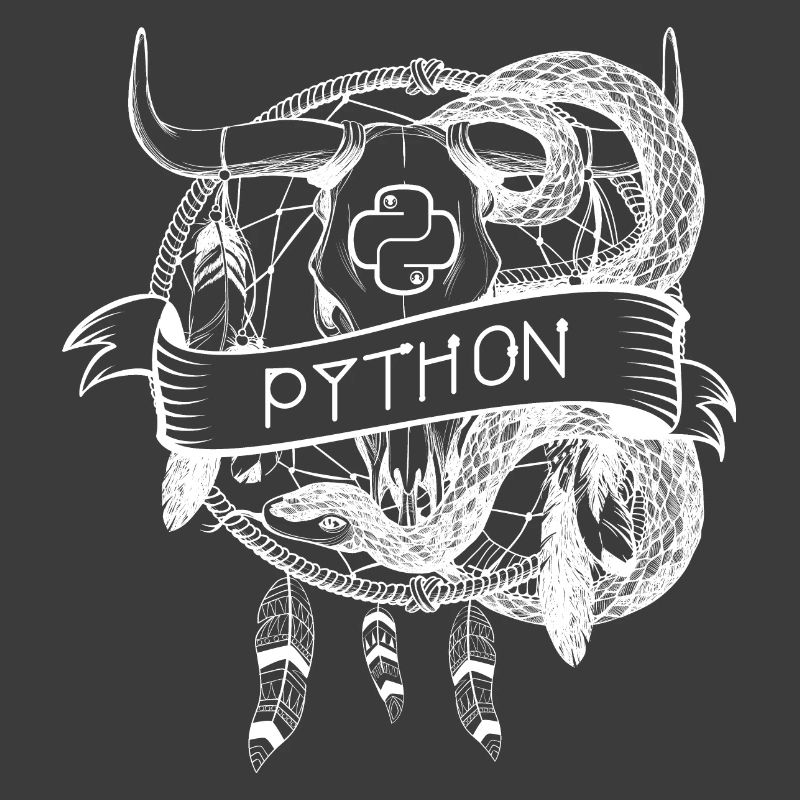 python programming language technology