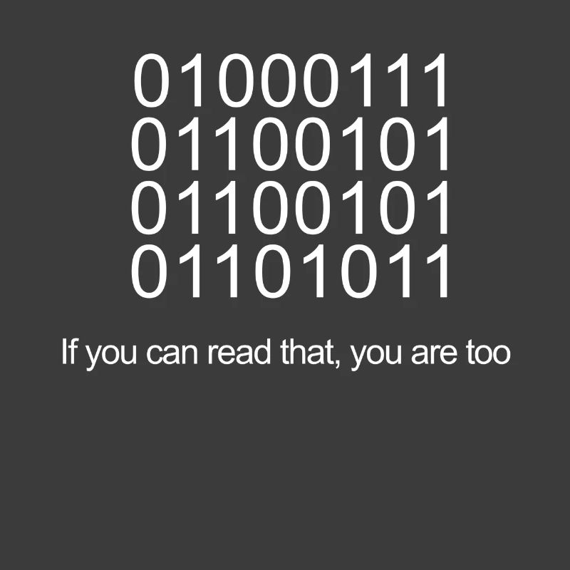 Nerd IT Geek Computer Scientist Programmer Gift