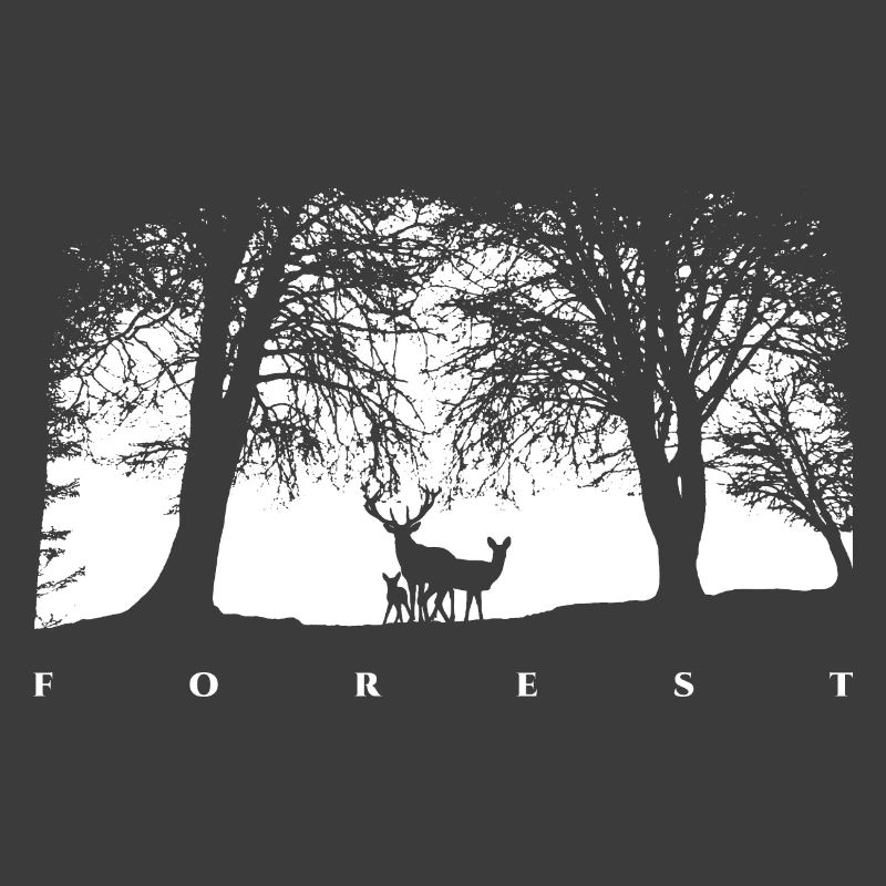 Forêt Blanche