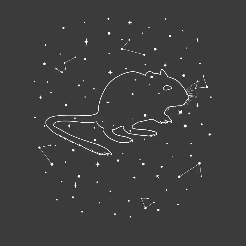Constellation Degu Constellation Bush Rat Common