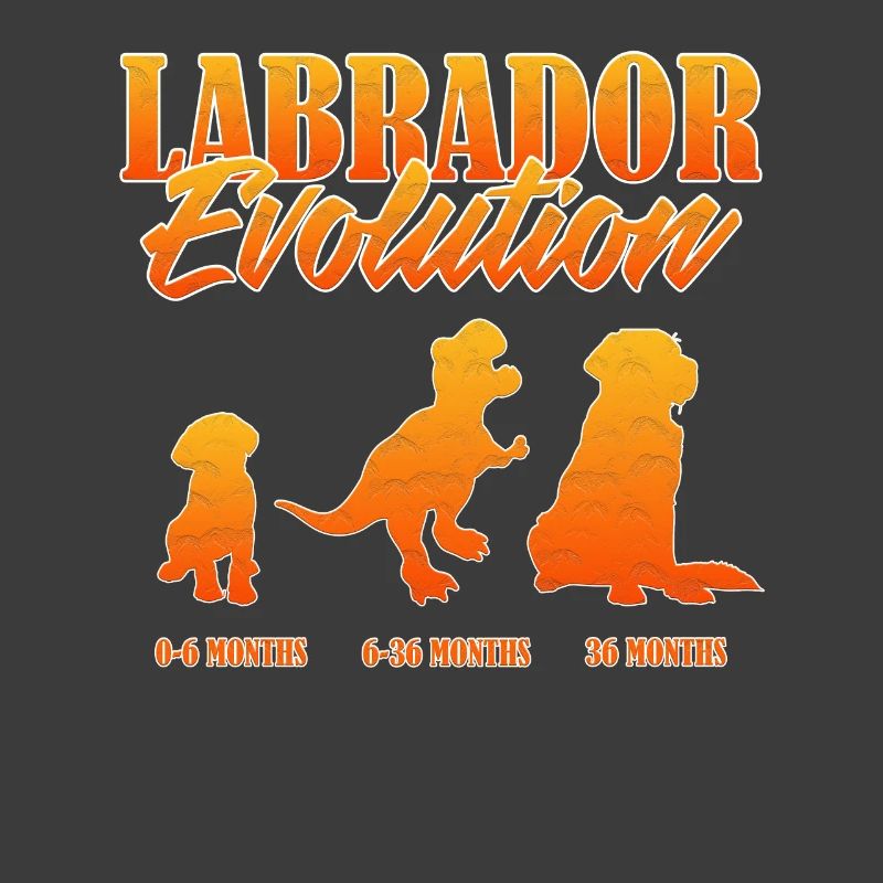 LABRADOR EVOLUTION Labrador Owner Funny