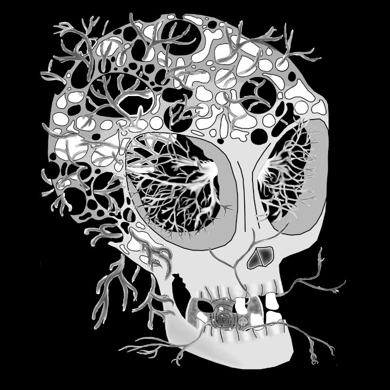 Skull white