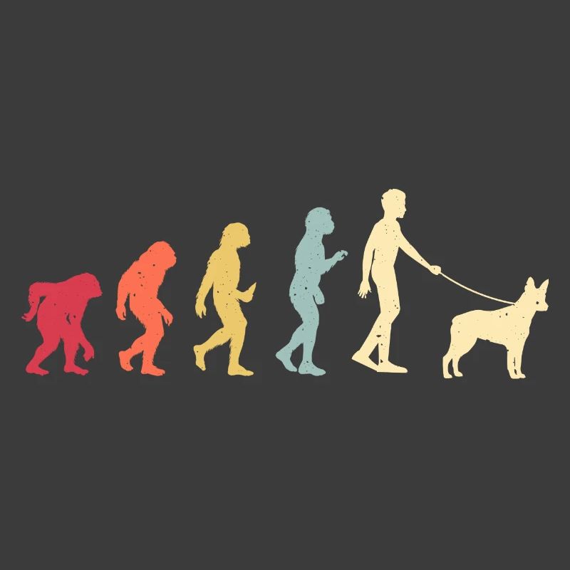 Australian Stumpy Tail Cattle Dog