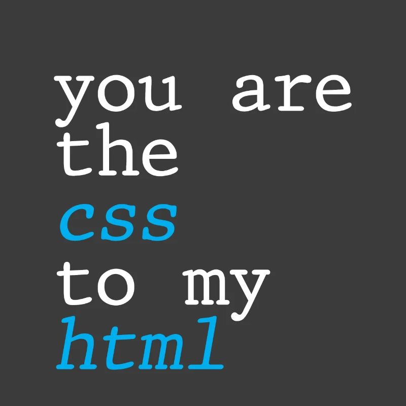 Vous êtes le CSS à mon HTML 4