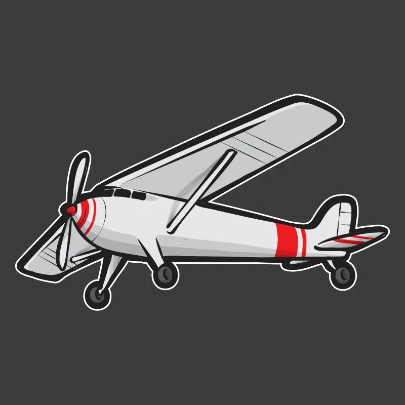 Modèle d’avion télécommandé
