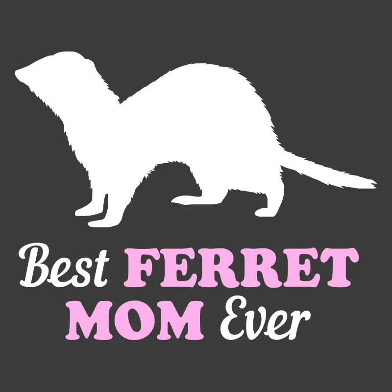 Frettchen