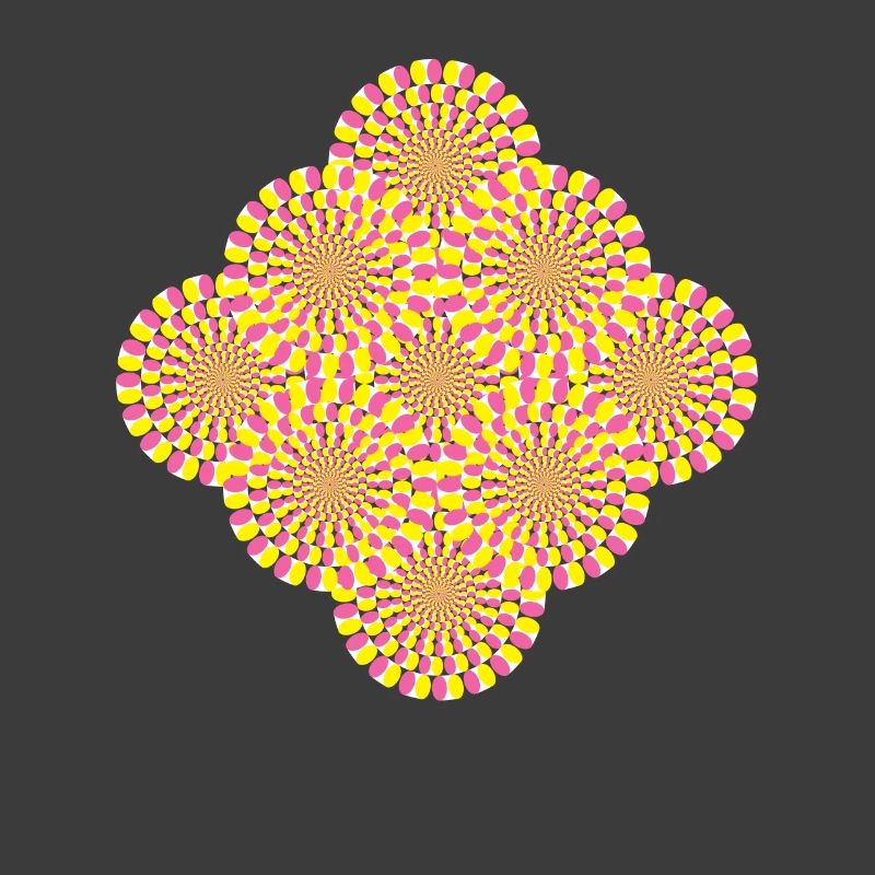 Perception Illusion d’optique Illusion