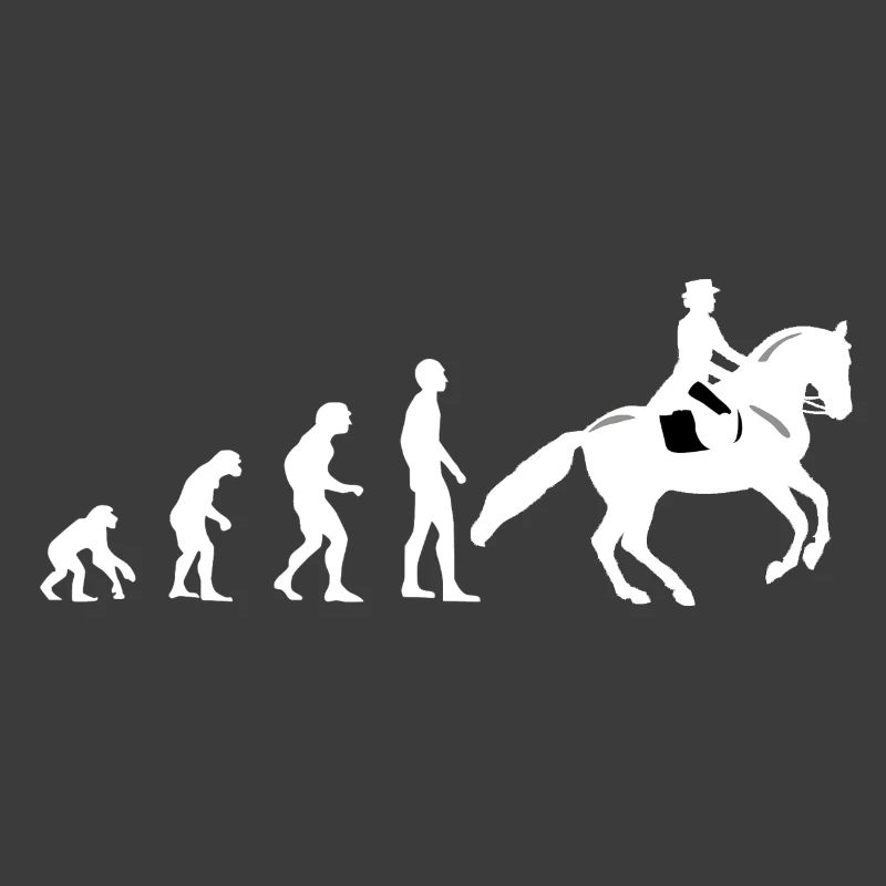 Evolution équitation - cheval - cavalier - cavalier