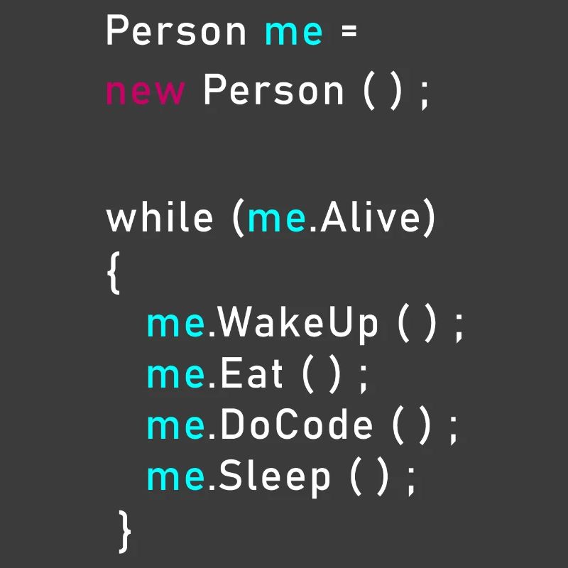Person me = new Person (); Programmieren Code Java