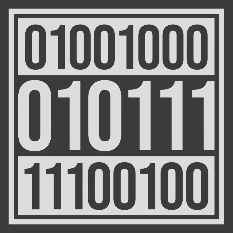 Binaire Code Programma Taal