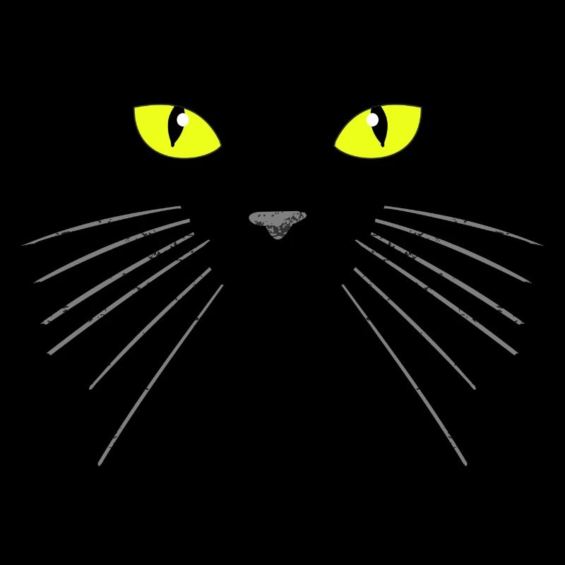 Black cat