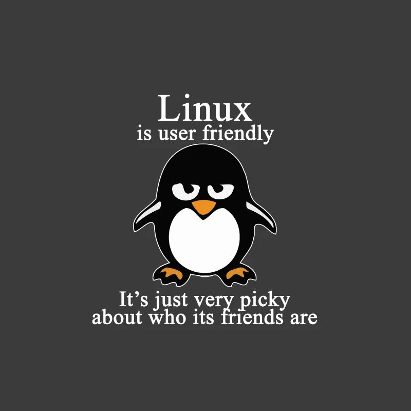 Programming Computer Science Gift · Friendly
