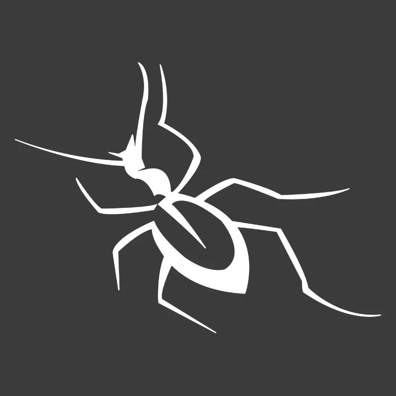 Insecte