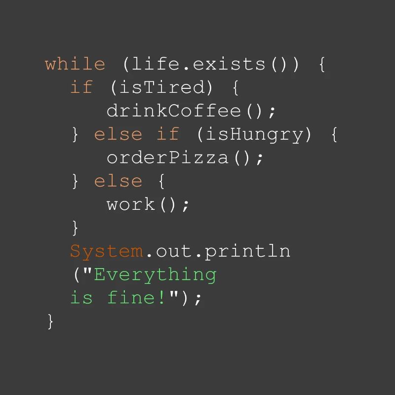Programmierung, Programmierer und Programmcode