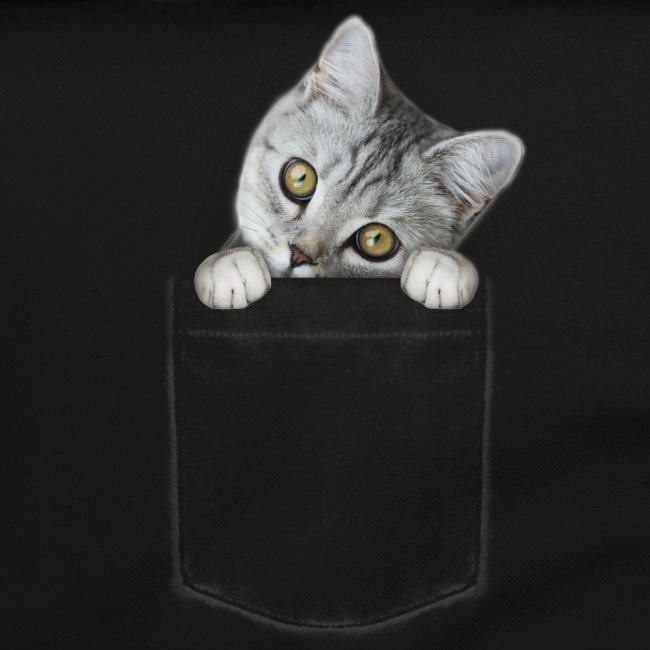 Vorschau: cat pocket - Umhängetasche