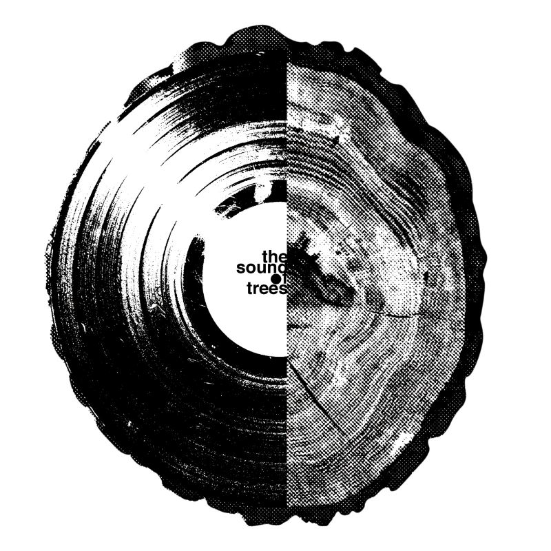 Son de tees, de vinyles et de cernes