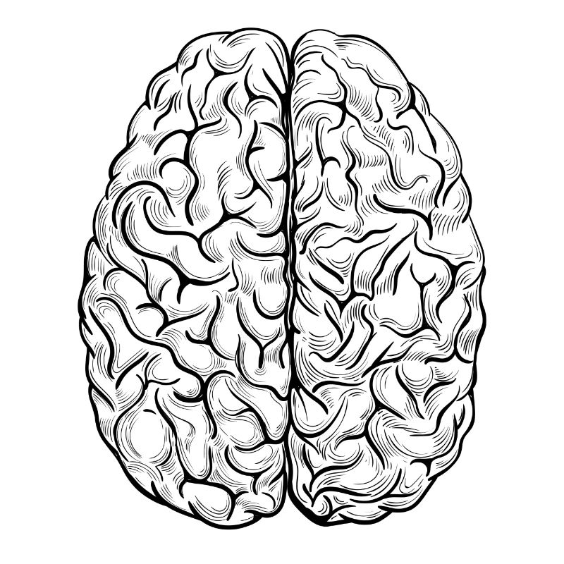Brain black