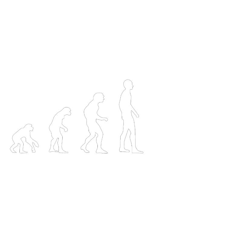 Vélo EVOLUTION Blanc