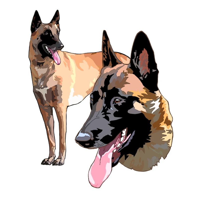die 2 malinois