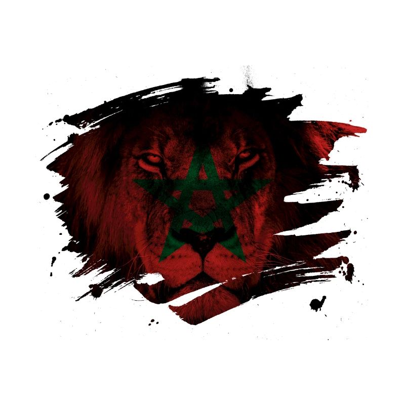 Marokko Lion Flag Paint Splatter