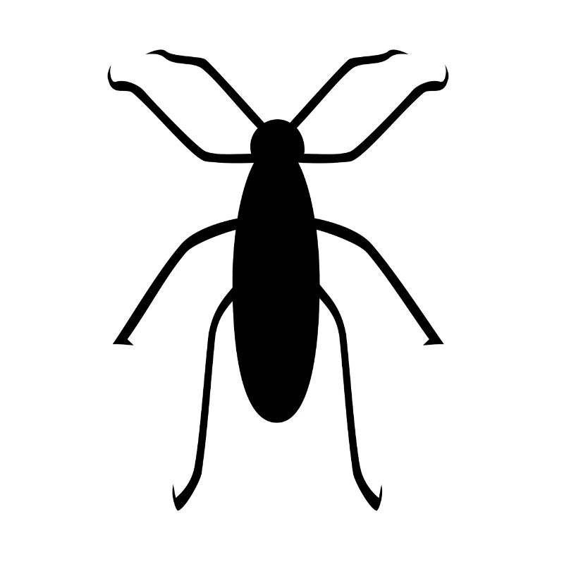 insecte