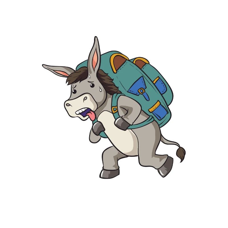 Esel Packesel Maultier Muli Donkey Geschenk