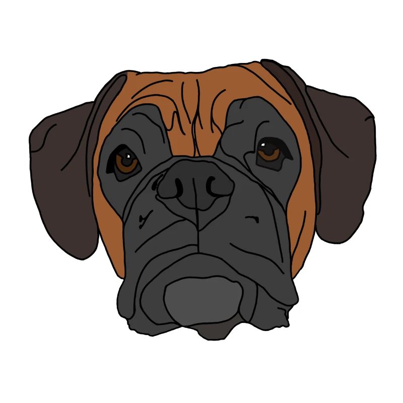 Conception de visage de chien boxer