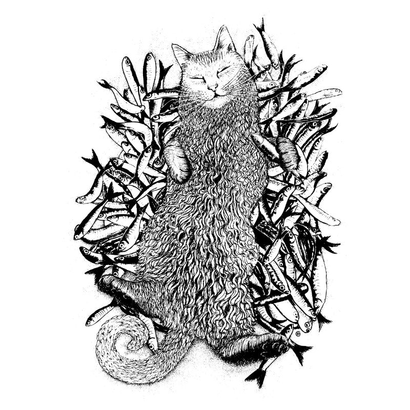 Katzenparadies