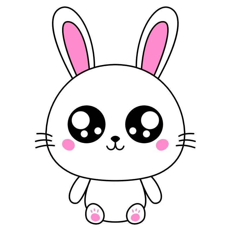 Cute Rabbit