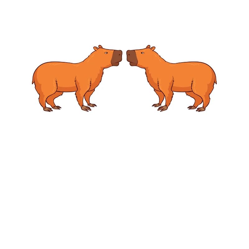 Programmeur Wombat Software Ordinateur PC