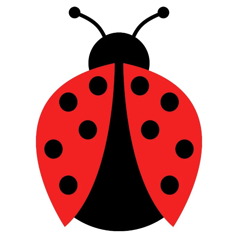 Marienkäfer