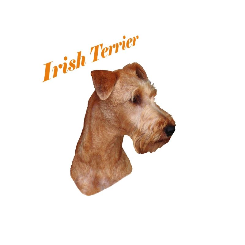 Irish Terrier